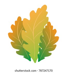 Autumn oak leaf isolated over a white background. Flat design, vector.