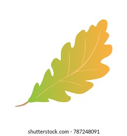 Autumn oak leaf isolated over a white background. Flat design, vector.