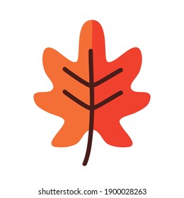Autumn oak leaf line and fill style icon design, season nature ornament and garden heme Vector illustration