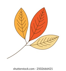 Autumn oak leaf logo and oak tree logo. With editing vector illustration.