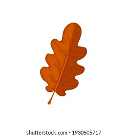 Autumn oak leaf, oak tree fall dry leaves, isolated vector icon. Dry red brown oak leaf, forest trees autumn foliage and Thanksgiving season symbol