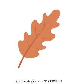 Autumn oak leaf. Vector illustration isolated for design or decoration, printing