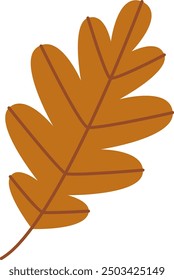 Autumn Oak Leaf Vector Illustration