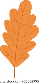 Autumn Oak Leaf Vector Illustration