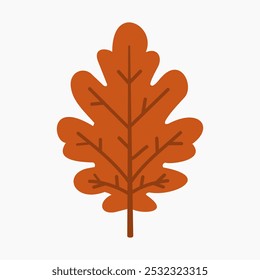 Autumn oak leaf vector illustration isolated on white background	