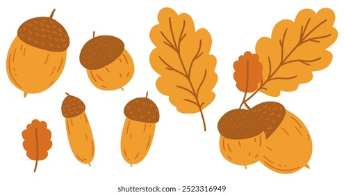 Autumn oak leaves and acorns set. Fall orange hand drawing forest collection. Flat simple doodle childish elements set. Kids drawn isolated vector illustration