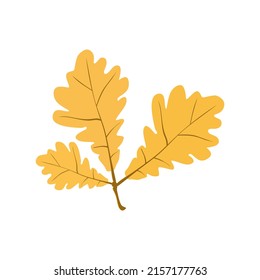 Autumn oak leaves. Composition of autumn foliage with oak leaves. Top view of autumn foliage. Colored flat vector illustration isolated on white background