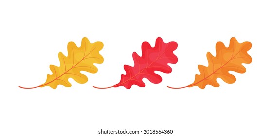 Autumn oak leaves icons isolated on white background. Simple cartoon flat style. Isolated vector illustration. Design for seasonal holiday greeting card, stickers, logo, web and mobile app.