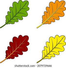 Autumn oak leaves on a white background, vector icons