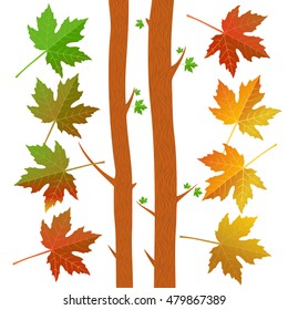 Autumn oak leaves set. Isolated on white background. Simple cartoon vector illustration in flat style.