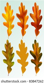 autumn oak leaves vector