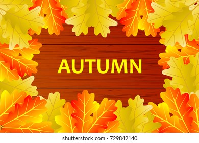 Autumn - oak leaves - vector background, Autumnal leaf of oak, (Quercus), 