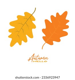 Autumn oak leaves vector illustration.  Autumn leaves design template for decoration, sale banner, advertisement, greeting card and media content. Autumn concept. Flat vector isolated on white.