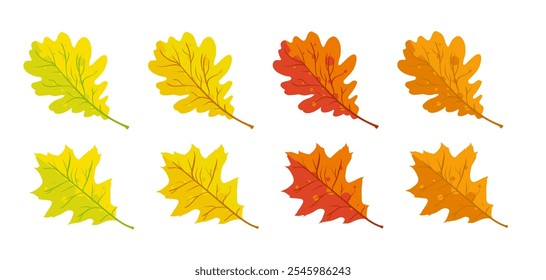 Autumn oak leaves yellow red and orange - vector illustration