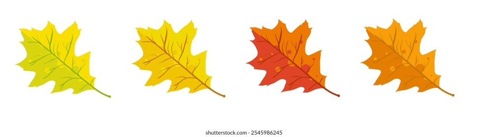 Autumn oak leaves yellow red and orange - vector illustration