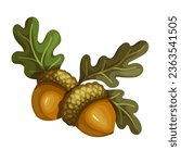 Autumn oak tree branch with acorns.Vector graphics.