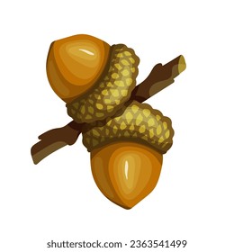 Autumn oak tree branch with acorns.Vector graphics.
