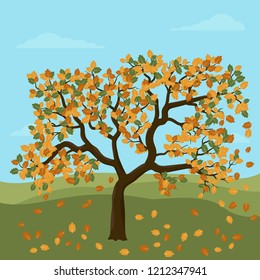Autumn Oak Tree Tree With Falling Leaves