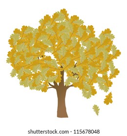 Autumn oak tree leaves vector background