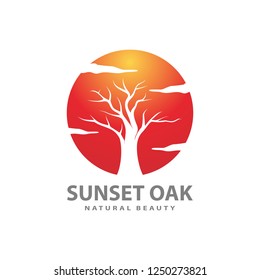 Autumn of Oak Tree Sunset. Oak tree logo illustration. Vector silhouette of a tree