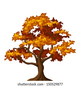 Autumn oak tree. Vector illustration.
