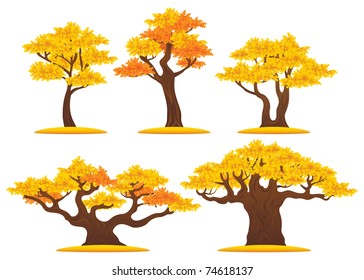 Autumn oak trees vector illustrations set