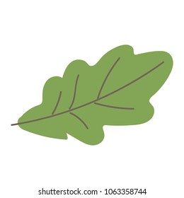 autumn oakleaf vector icon