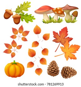 Autumn object on white background vector 