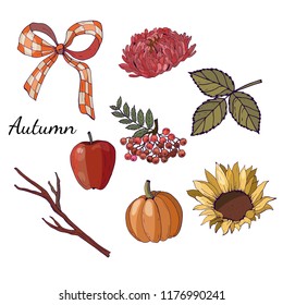 Autumn objects for design purposes, isolated