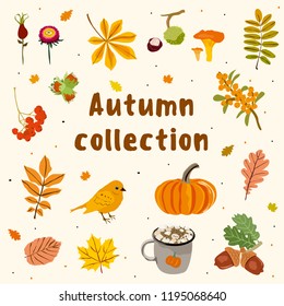 Autumn objects vector collection with pumpkin, birds, leaf, walnut, rowan, mushroom, chestnut, acorns. 