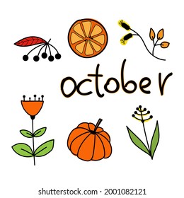 Autumn october set, hand drawn elements- calligraphy, fall leaves, forest animals, wreaths, and other. Perfect for web, card, poster, cover, tag, invitation, sticker kit. Vector illustration

