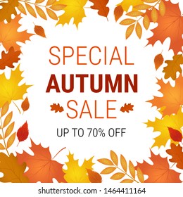 Autumn offer banner.Special sale. Vector background with  falling autumn leaves. 