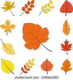 autumn orange color leaf icon in a collection with other items