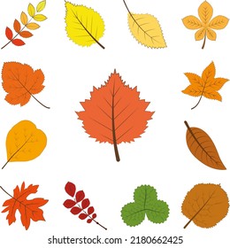 autumn orange color leaf icon in a collection with other items