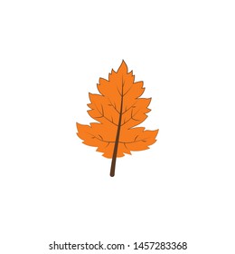 autumn orange color leaf illustration