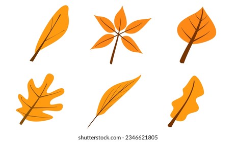 Autumn orange fall leaves graphic design elements icons