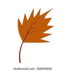 Autumn orange leaf in hand-drawn style