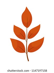 Autumn orange  leaf  isolated on a white background. Vector illustration isolated on white background.
