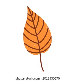 Hojas de naranja otoñales aisladas en fondo blanco. Ilustración de vectores dibujada a mano en estilo plano de caricatura. Perfecto para su proyecto, tarjetas, invitaciones, impresión, decoraciones.