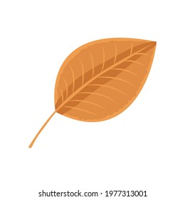 autumn orange leaf, vector illustration