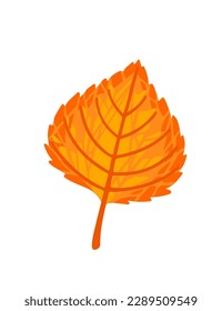 Autumn orange leaf vector illustration isolated on white background