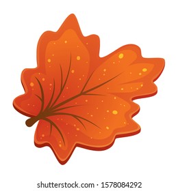 Autumn orange maple leaf vector eps10