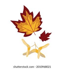 Autumn orange maple leaves isolated on white background. Colorful fall tree leaves flat style vector illustration for card, banner, poster or decor.