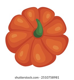 Autumn orange pumpkin. October, fall, harvest time. Autumn vegetable. Vector illustration isolated on white. 