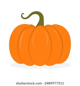 Autumn orange pumpkin with peduncle. Vector illustration isolated