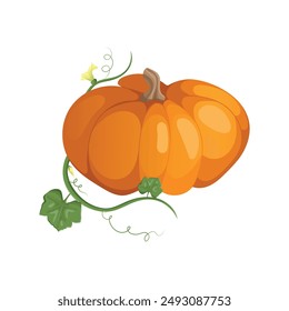 Autumn orange pumpkin. Postcard or banner. Cartoon pumpkins, halloween squash, fall harvest gourds. Autumn thanksgiving and halloween