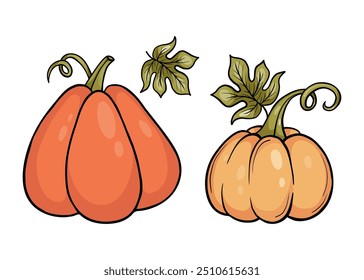 Autumn Orange pumpkin set. Vector illustration. Isolated kawaii vegetables on white background for autumnal design and decoration.