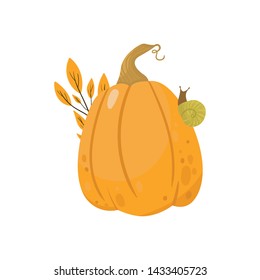 Autumn orange pumpkin -  vegetable graphic. Fall season. Forest. Simple cartoon flat style. Vector illustration