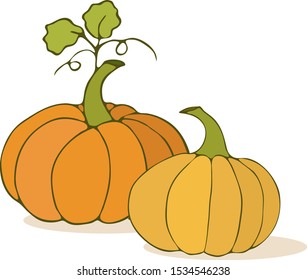 Autumn orange and yellow pumpkins