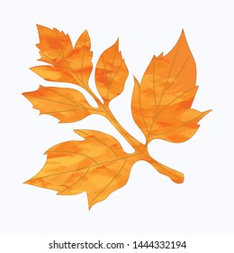 Autumn orange-yellow leaf in grunge style - isolated on white background - vector. Ecological Concept.
